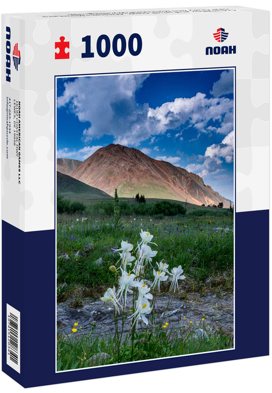 Columbine and small creek, Absaroka Mountains near Cody and Meeteetse, Wyoming, USA