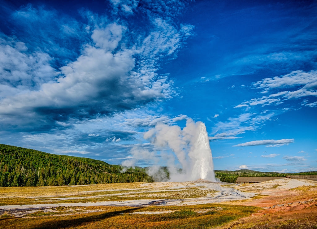 Old faithful geyser in Yellowstone national park, Wyoming