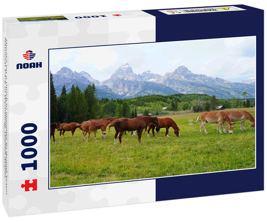 Horses on a ranch in summer in Grand Teton National Park in Wyoming, United States