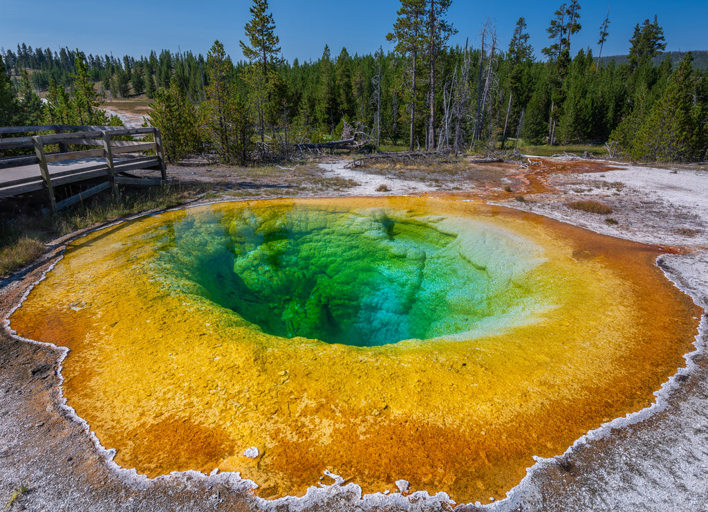 Morning Glory Pool, Yellowstone National Park, Wyoming