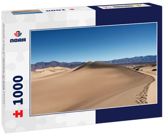 Scenic view of desert, Grand Teton National Park, Wyoming, USA