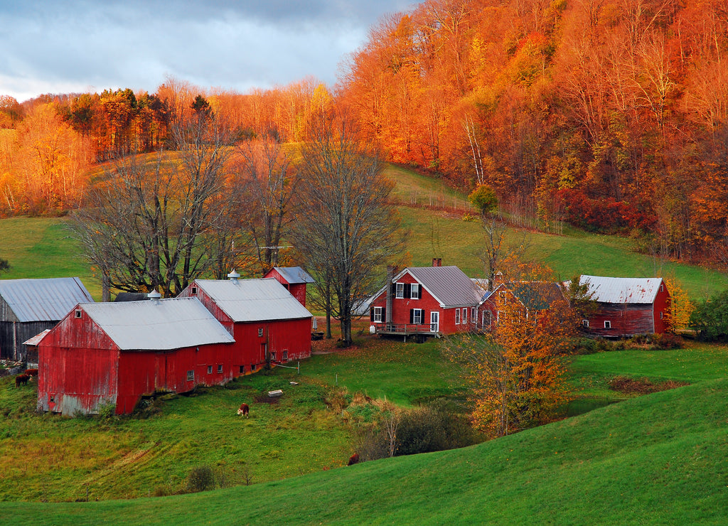 A rural Vermont scene in late fall