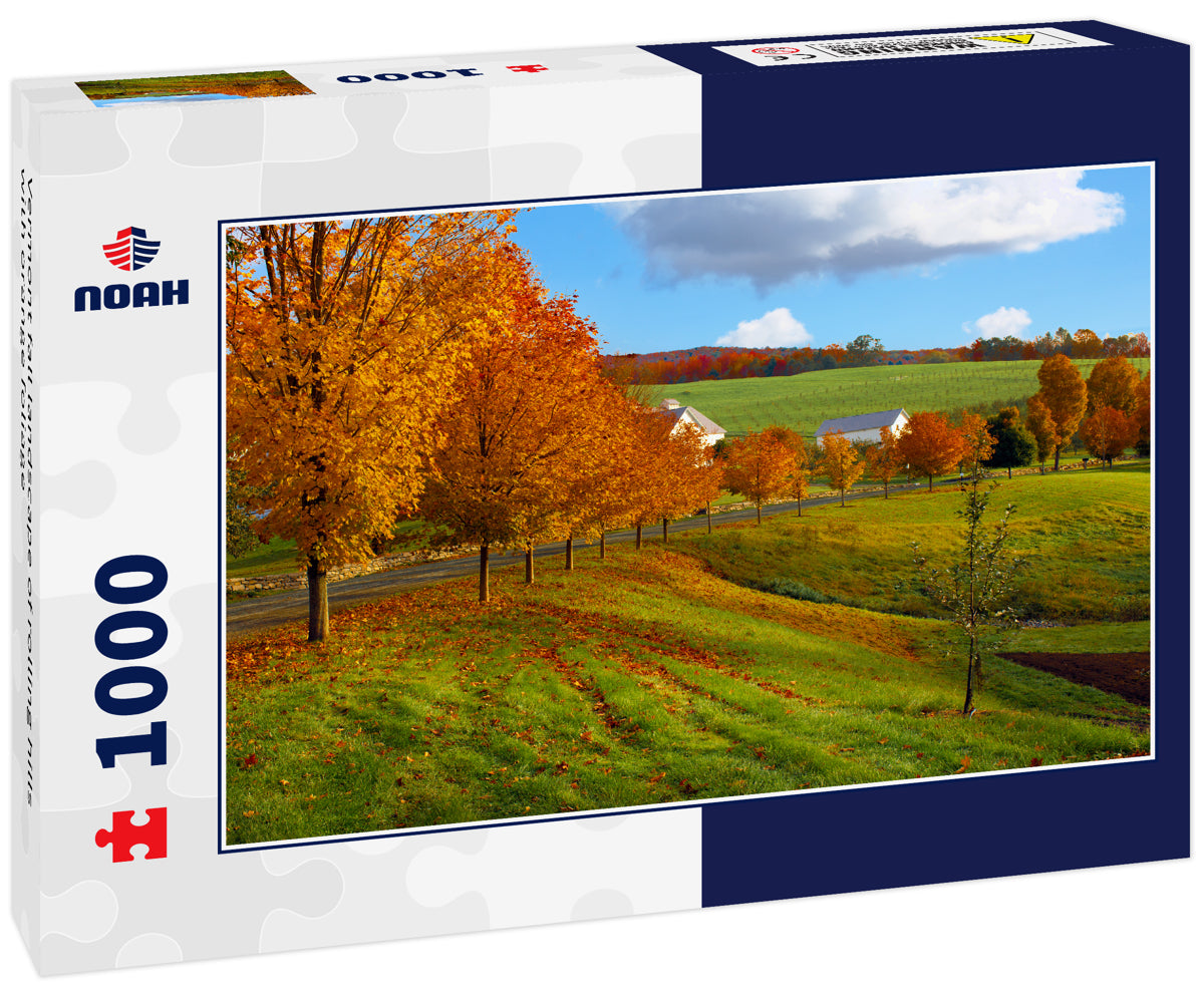 Vermont fall landscape of rolling hills with orange foliage