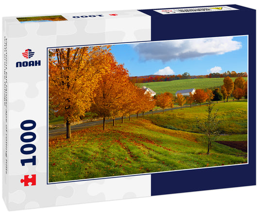 Vermont fall landscape of rolling hills with orange foliage