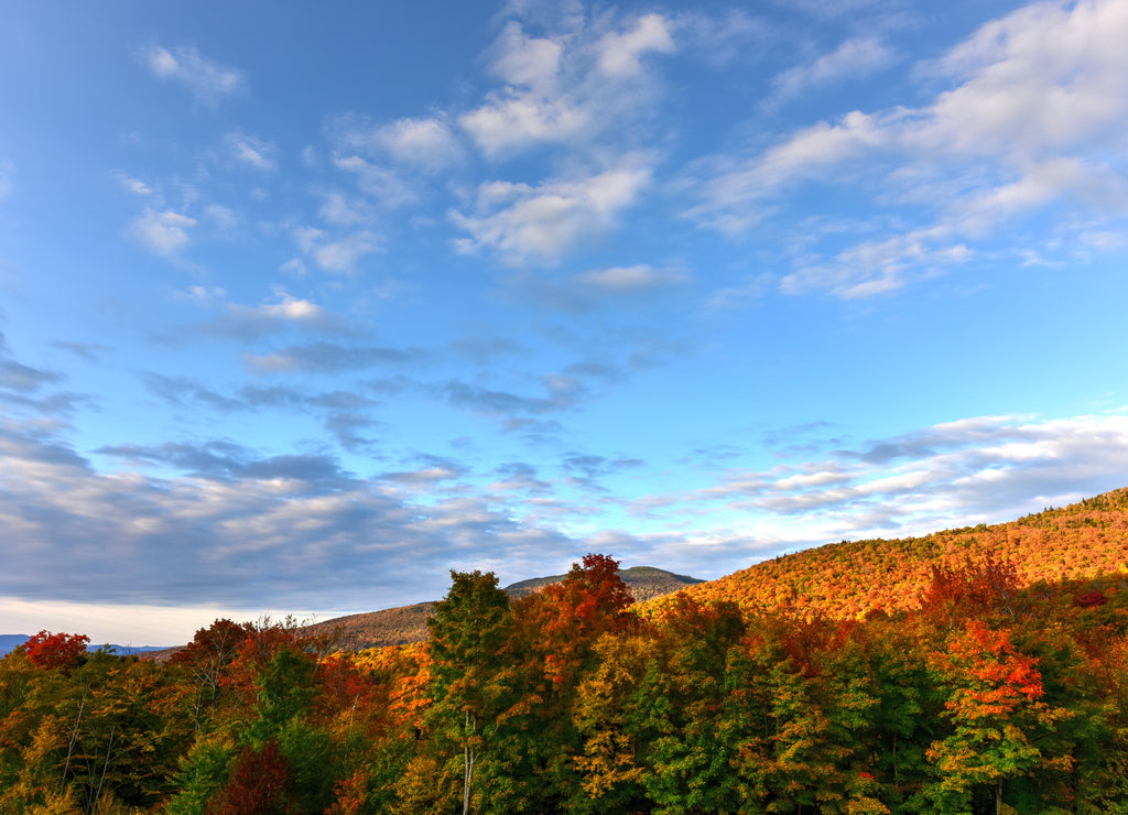 Fall Foliage Vermont