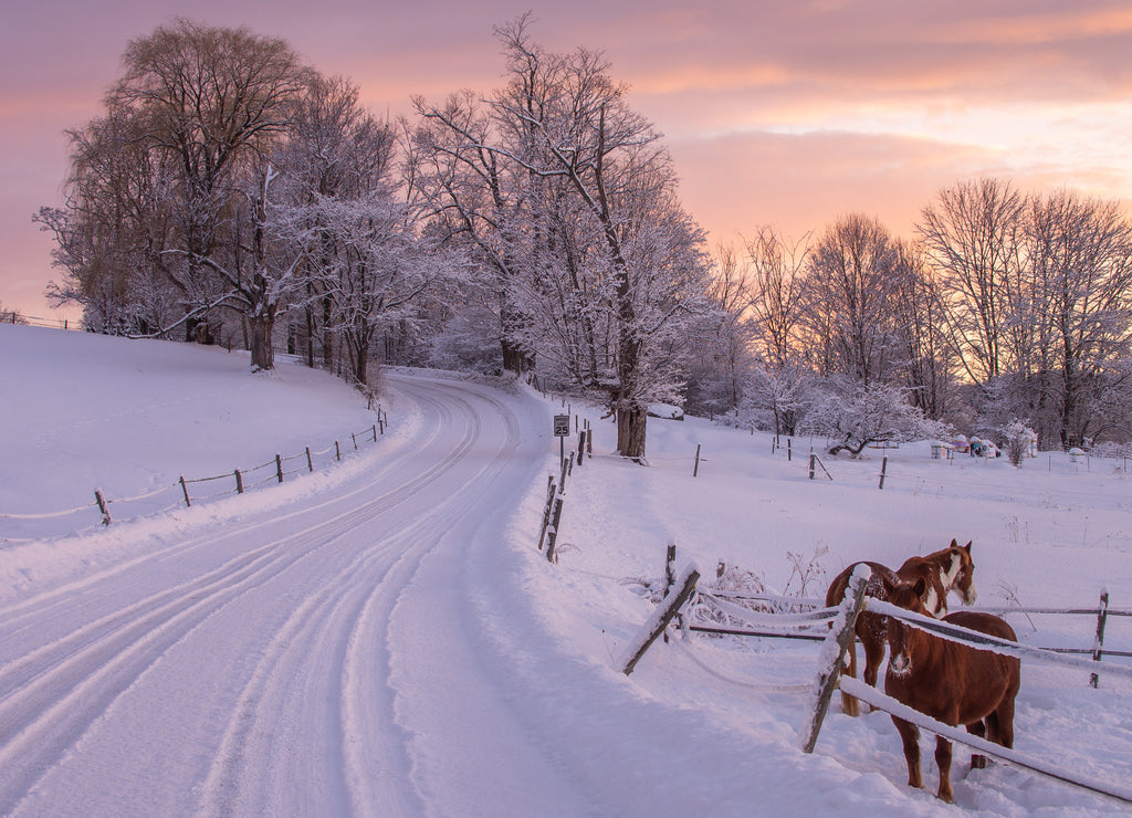Vermont winter scene with horses