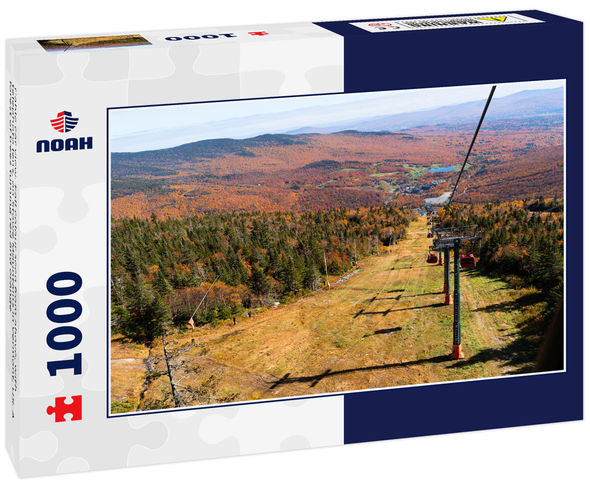 Cable car view. Fall colour seen from above, with telephoto lens, on Stowe Mountains in Vermont, US. A forest of trees turning red and orange