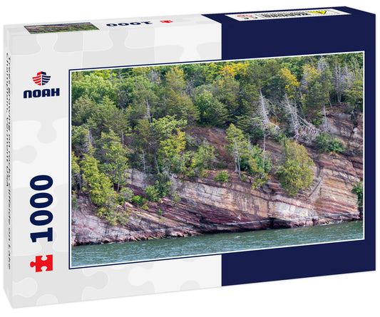 Trees growing on rocky cliffside on Lake Champlain, Vermont USA