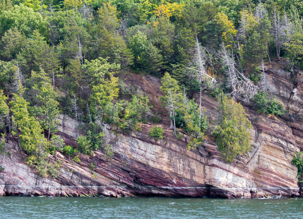 Trees growing on rocky cliffside on Lake Champlain, Vermont USA
