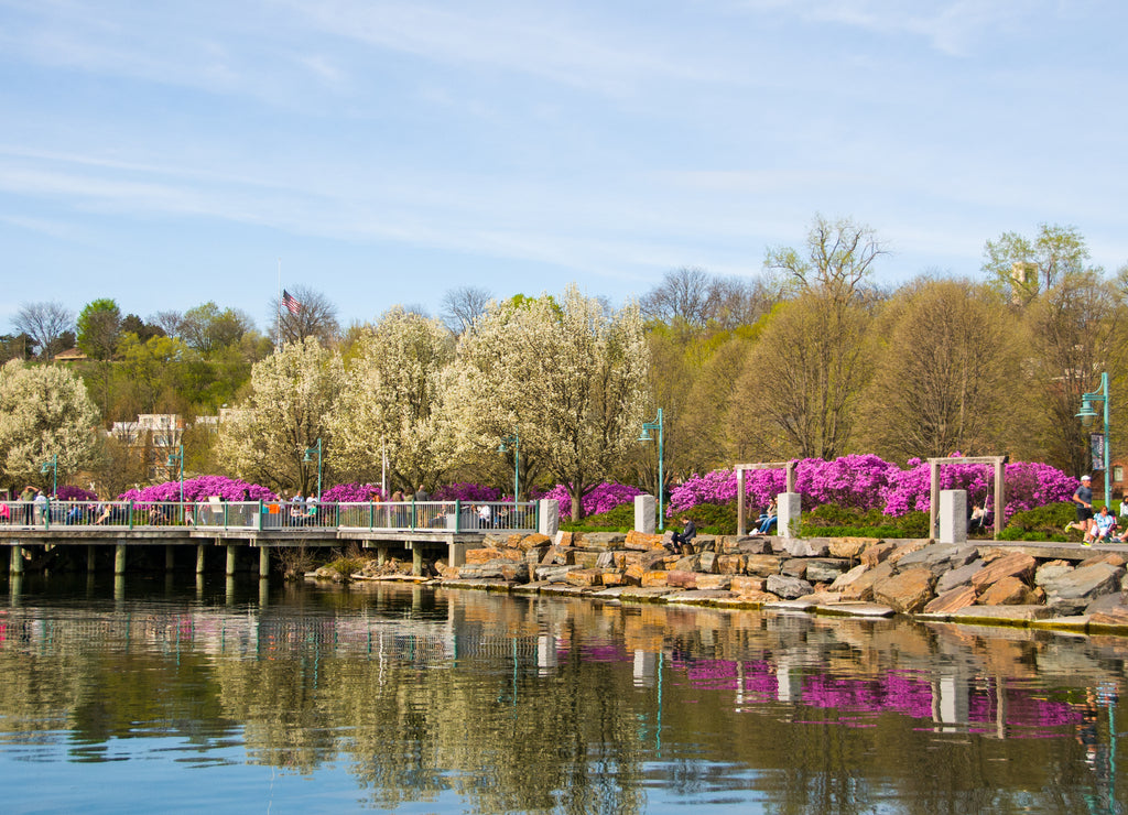Spring Day in Burlington Vermont
