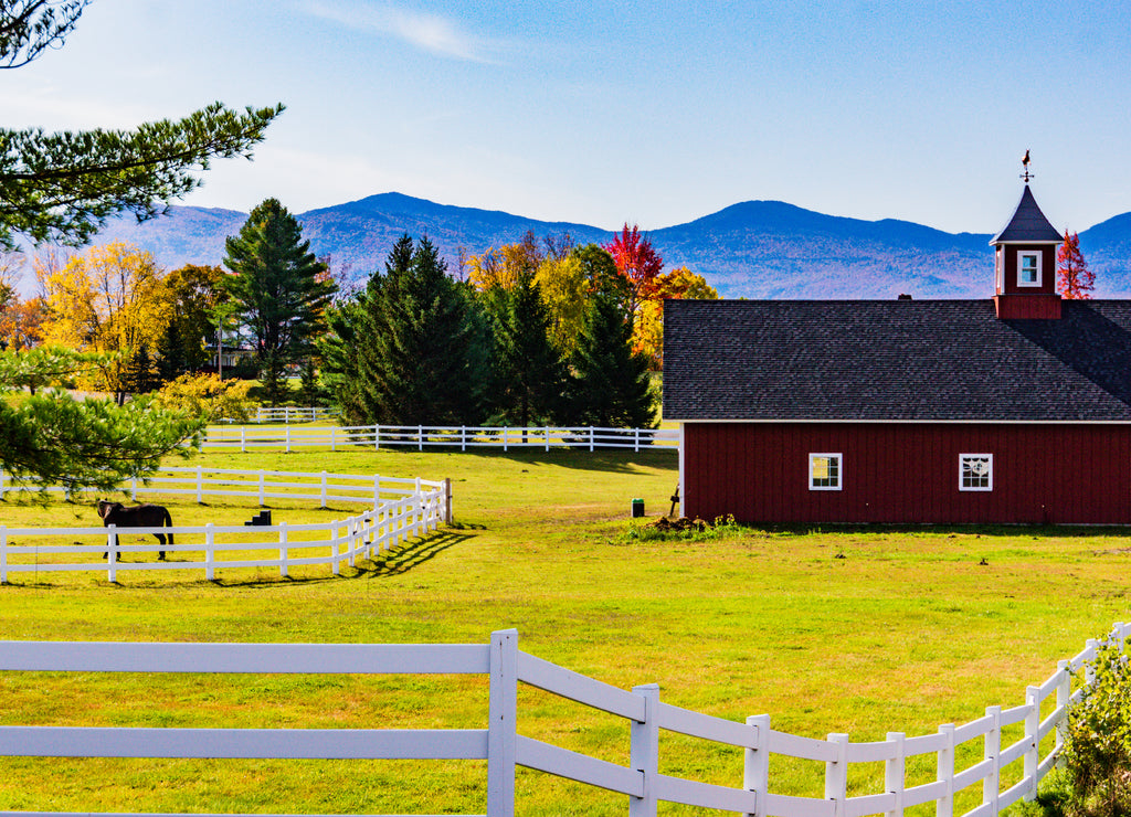 a Vermont horse farm with red barn in autumn fall foliage colors