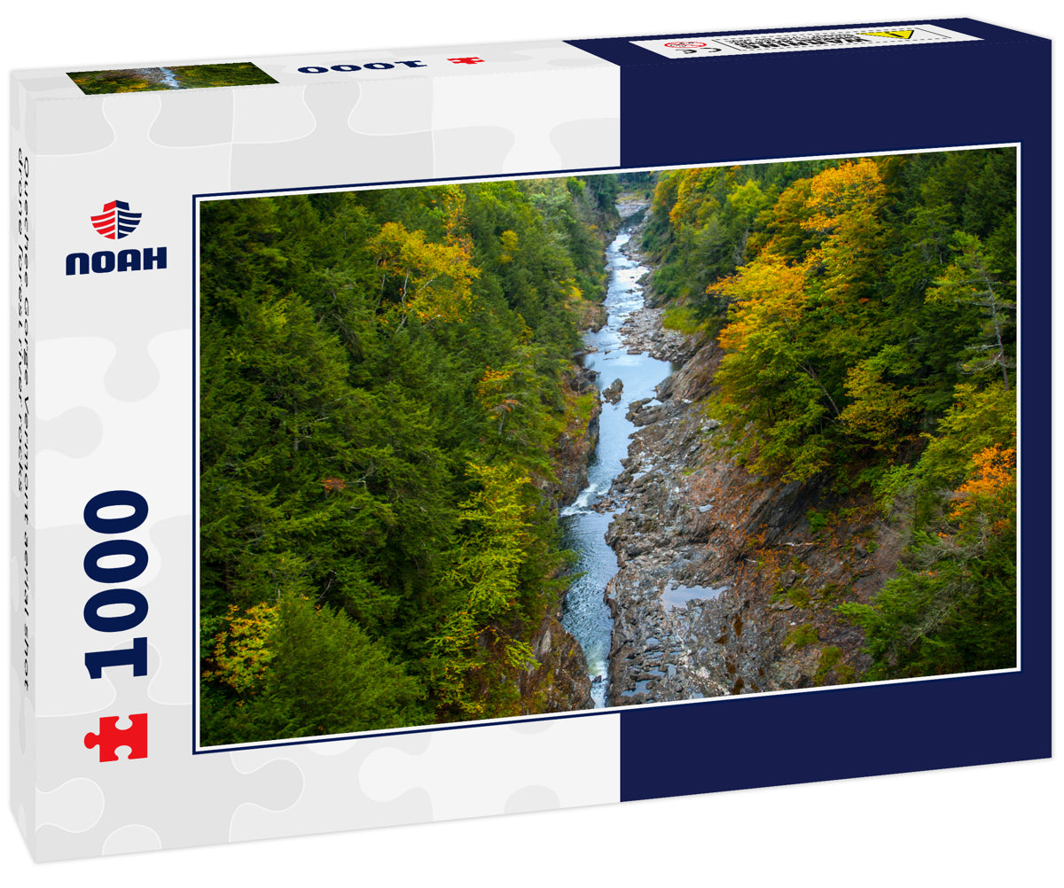 Quechee Gorge Vermont aerial shot drone forest river rocks