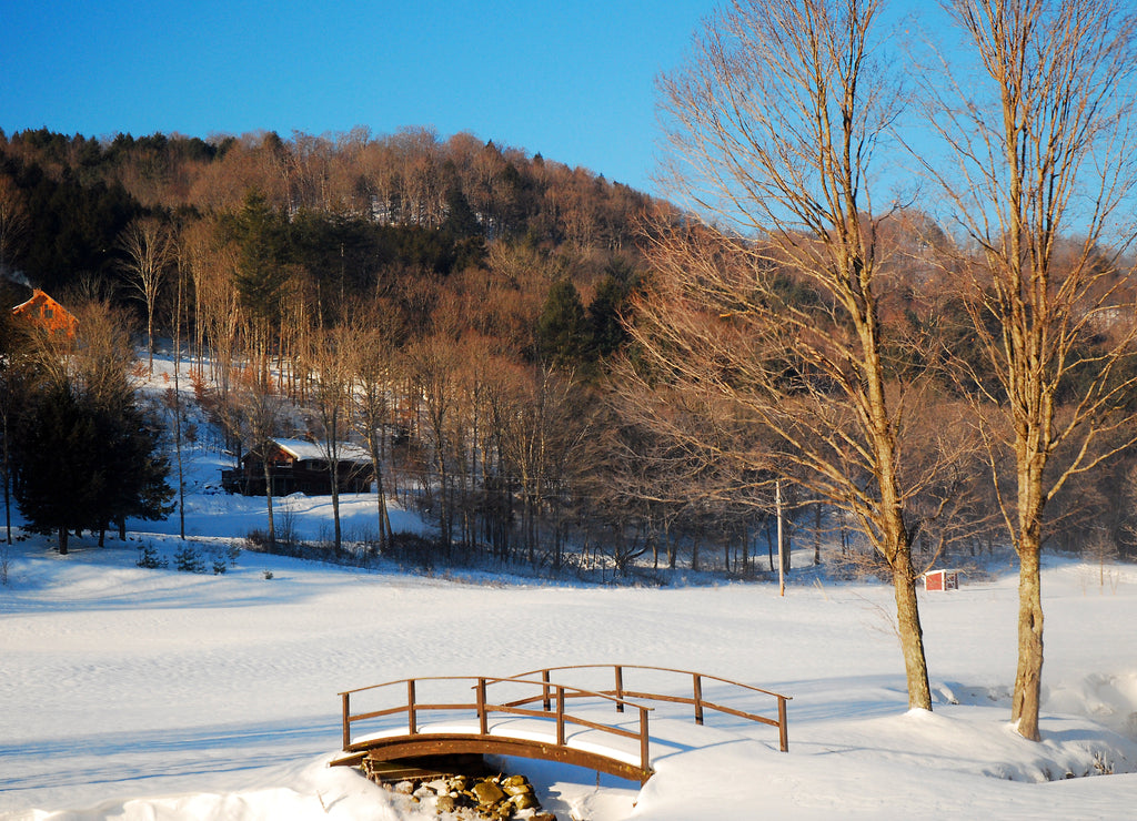 A park in Vermont is covered in snow