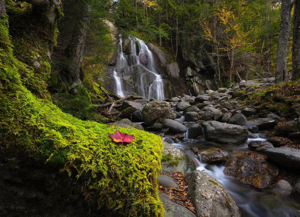 Red leaf on green moss with Moss Glen Falls in the background in Vermont