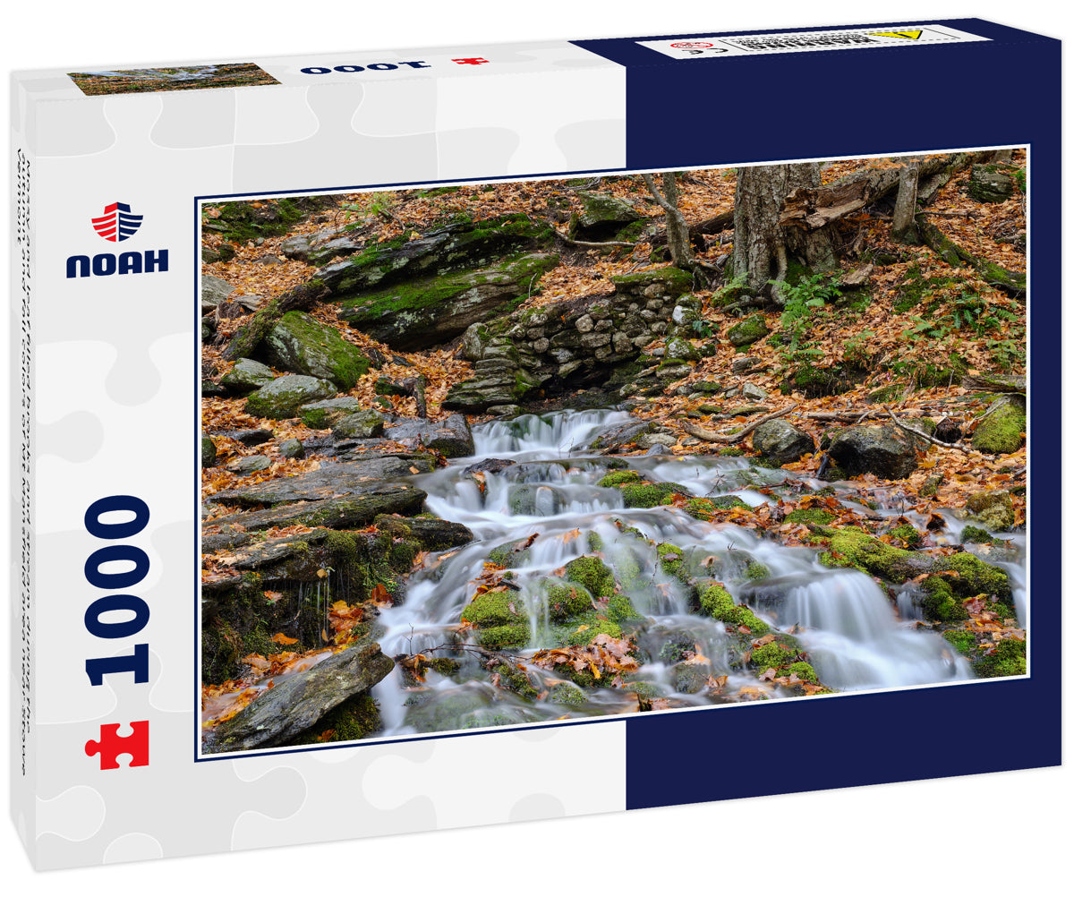 Mossy and leaf filled brooks and stream during the autumn and fall colors of Mt Mansfield area near Stowe Vermont