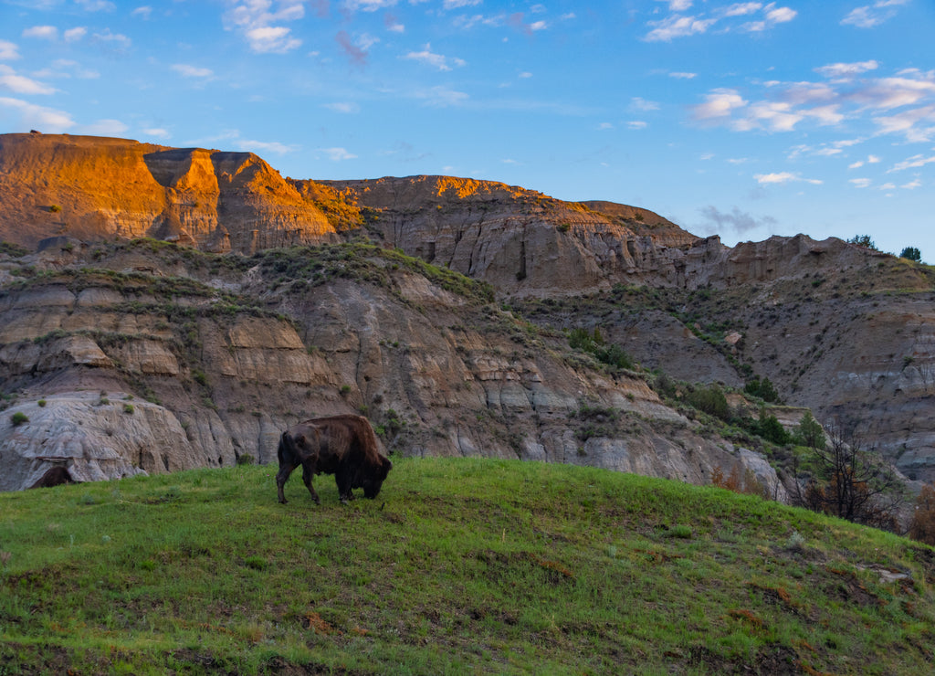 The Rugged Views of Theodore Roosevelt National Park in Summer, North Dakota