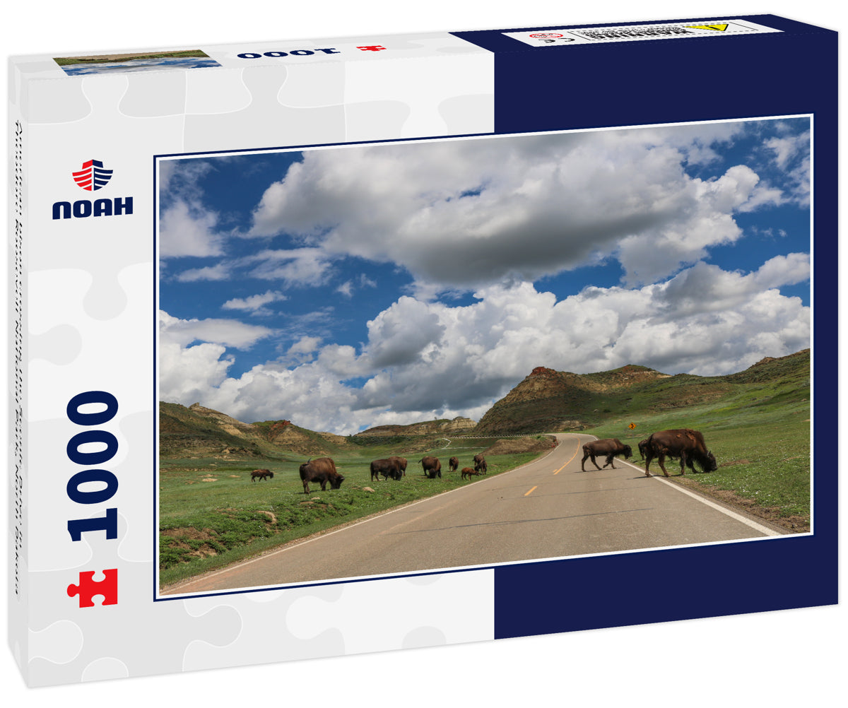 American bison crossing the Scenic Drive in Theodore Roosevelt National Park, North Dakota