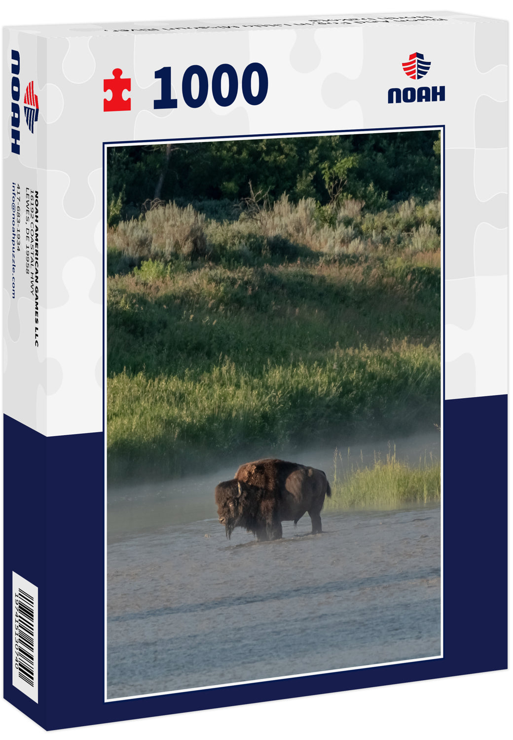 Bison And Fog in Little Missouri River, North Dakota