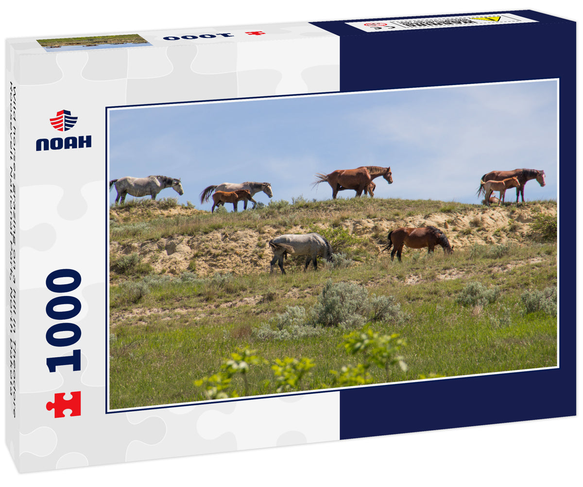 Wild horses grazing on a hill in Theodore Roosevelt National Park, North Dakota
