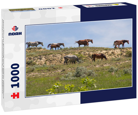 Wild horses grazing on a hill in Theodore Roosevelt National Park, North Dakota