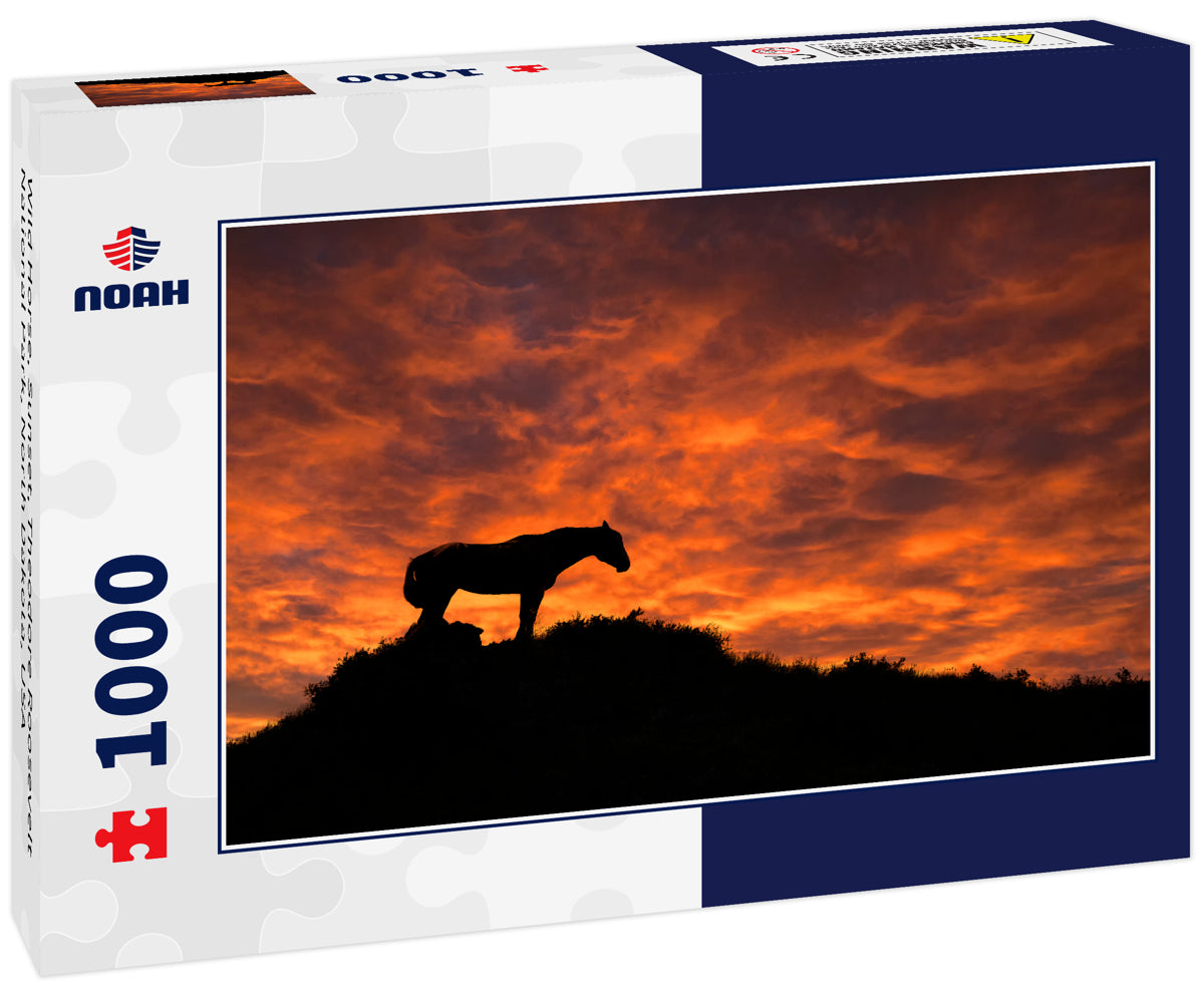 Wild Horse, Sunset, Theodore Roosevelt National Park, North Dakota, USA