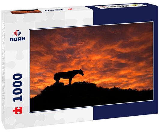 Wild Horse, Sunset, Theodore Roosevelt National Park, North Dakota, USA