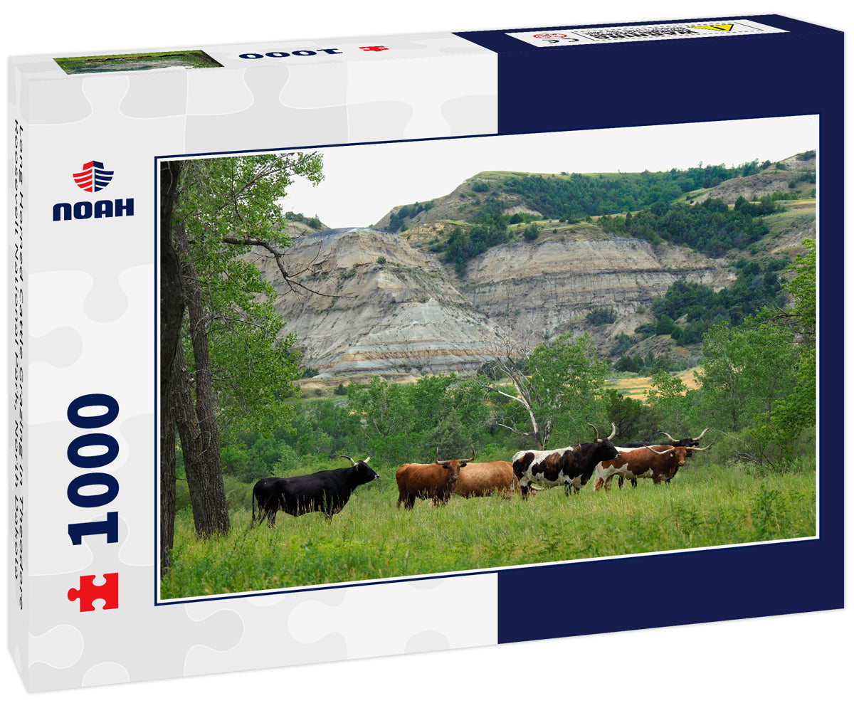 Long Horned Cattle Grazing in Theodore Roosevelt National Park, North Dakota