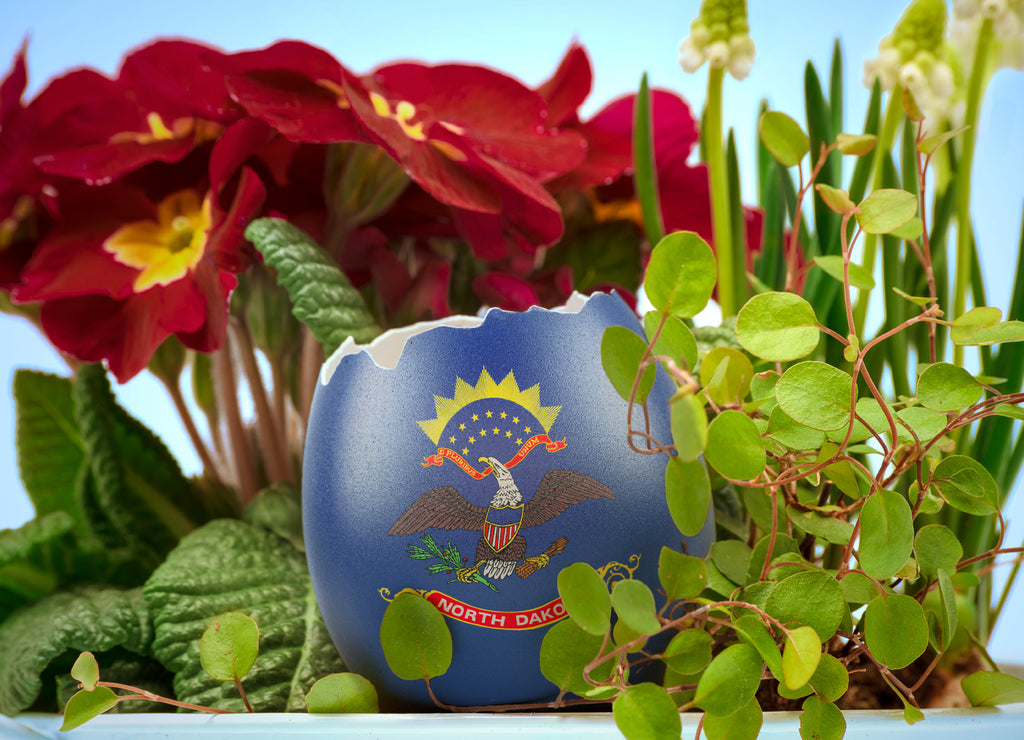 The flag of North Dakota on an cracked egg in a floral scene.(series)