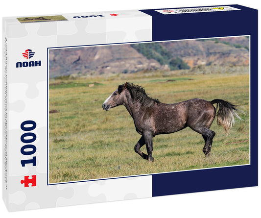 A wild horse trotting over to the others in the herd at Theodore Roosevelt National Park in North Dakota