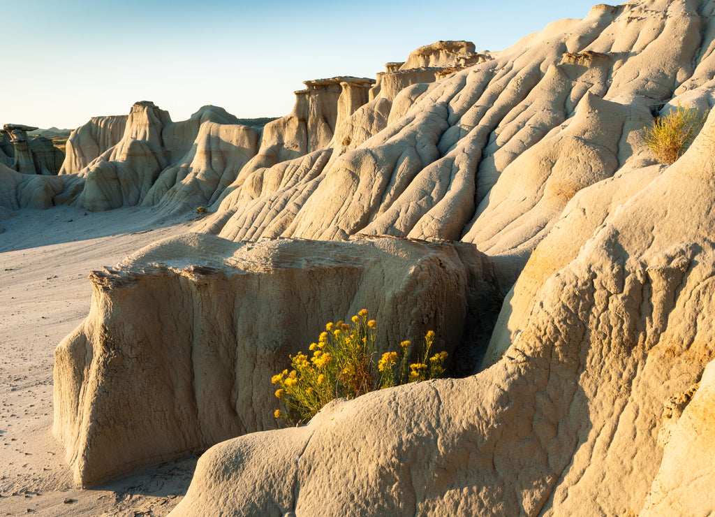 Erosion at Theodore Roosevelt National Park at sunrise, North Dakota