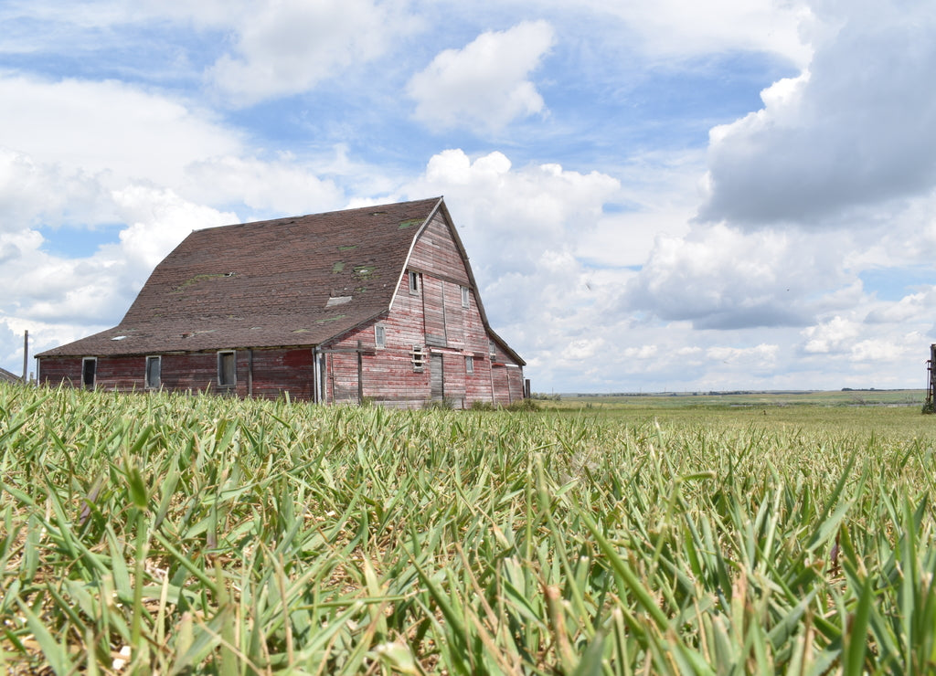 North Dakota Barn