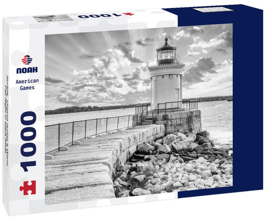 Noah Jigsaw Puzzle Norfolk, Virginia during a Warm Fall Night in black white 1000 pieces