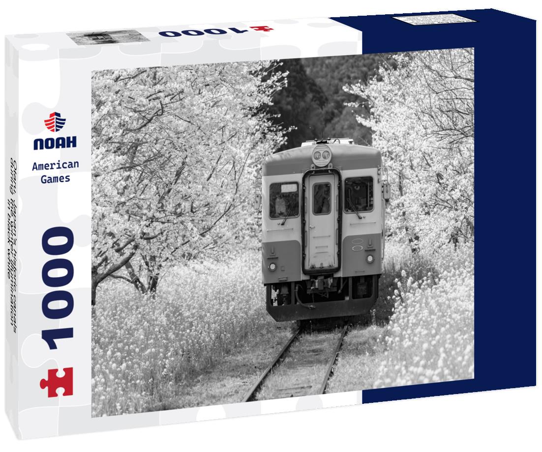 Noah Jigsaw Puzzle Otaru, Japan's historic canals during the winter illumination in black white 1000 pieces