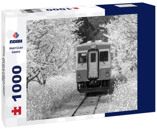 Noah Jigsaw Puzzle Otaru, Japan's historic canals during the winter illumination in black white 1000 pieces