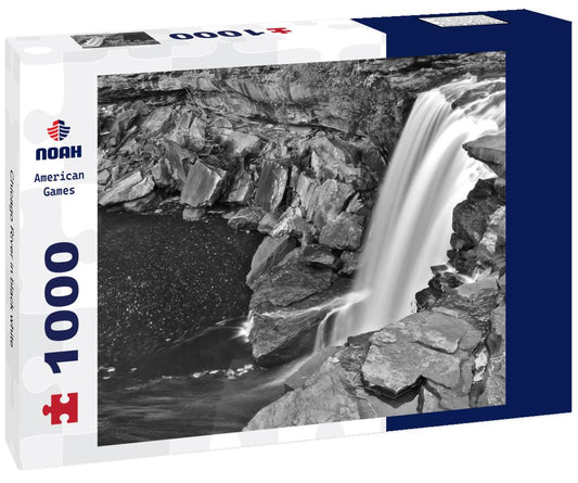 Noah Jigsaw Puzzle Chicago River in black white 1000 pieces