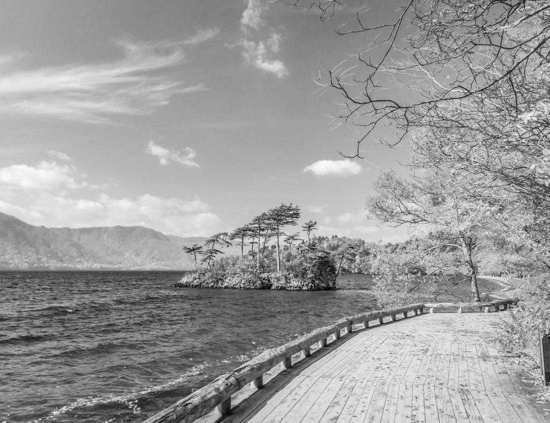 Noah Jigsaw Puzzle Hargeisa, largest city of Somaliland, Somalia in black white 1000 pieces