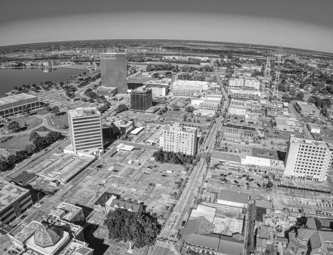 Noah Jigsaw Puzzle Lioness lying on a large tree. Close-up. Uganda. East Africa in black white 1000 pieces