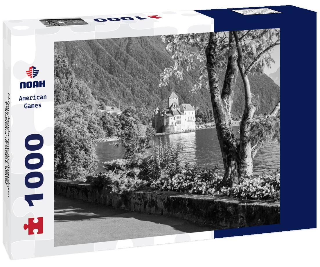 Noah Jigsaw Puzzle Urban landscape in downtown San José, Silicon Valley, California in black white 1000 pieces