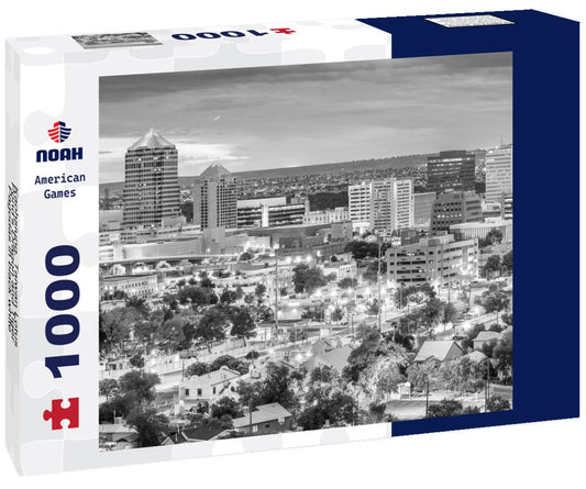 Noah Jigsaw Puzzle Kaohsiung, Taiwan Lotus Pond's Dragon and Tiger Pagodas in black white 1000 pieces