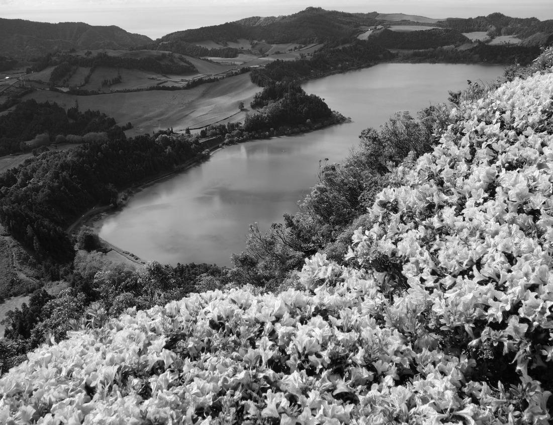Noah Jigsaw Puzzle Nagasaki, Japan skyline at dusk in black white 1000 pieces