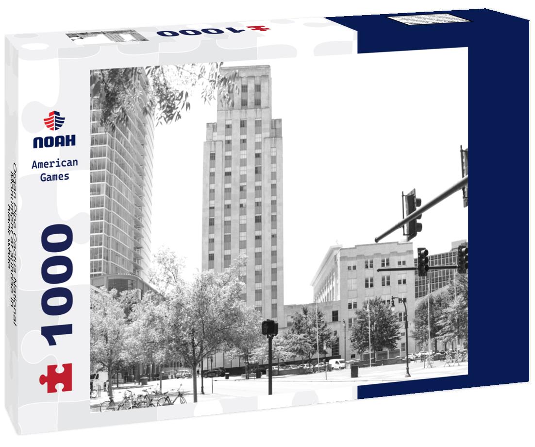 Noah Jigsaw Puzzle Organ Pipe Cactus National Monument at sunrise in black white 1000 pieces