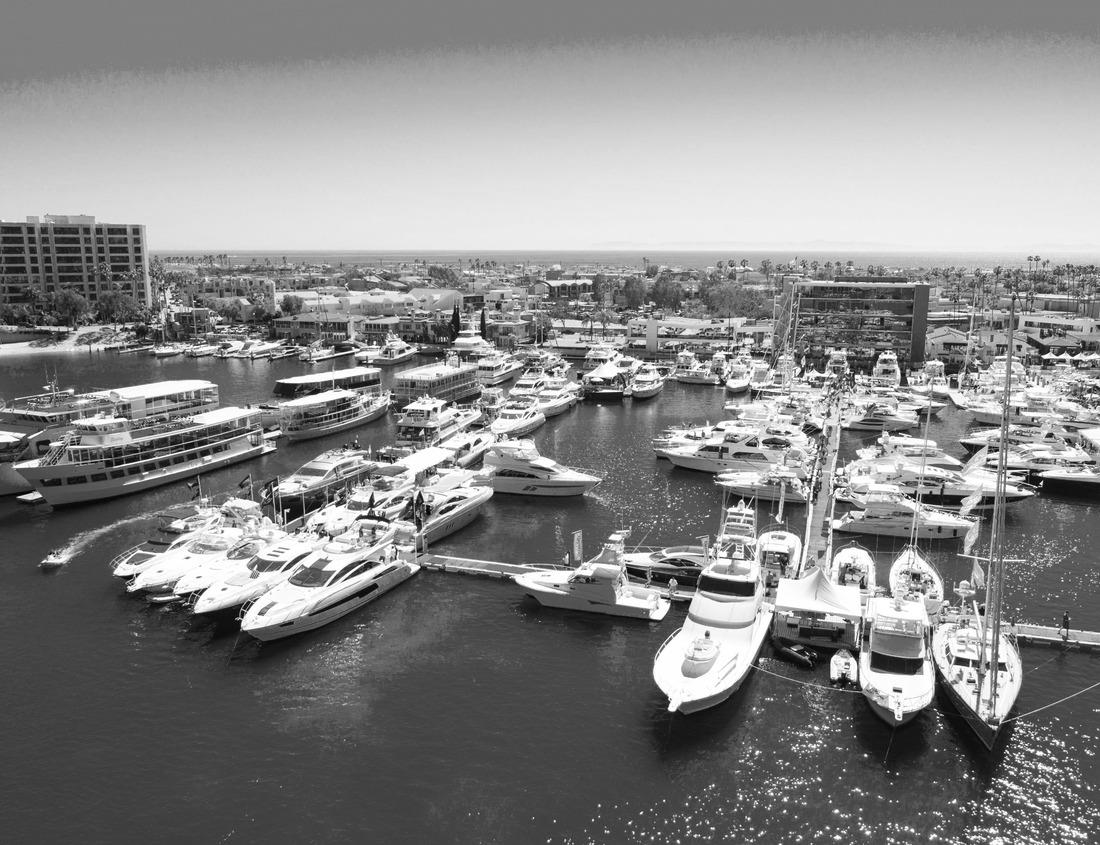 Noah Jigsaw Puzzle Charlotte, NC skyline on a foggy evening in black white 1000 pieces