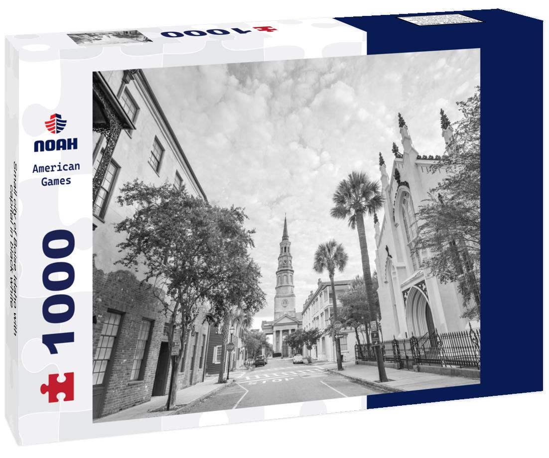 Noah Jigsaw Puzzle Small city of Boise Idaho with capital in black white 1000 pieces