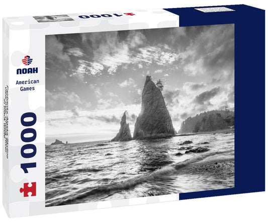 Noah Jigsaw Puzzle Fairbanks Alaska Skyline view over Chena River in black white 1000 pieces