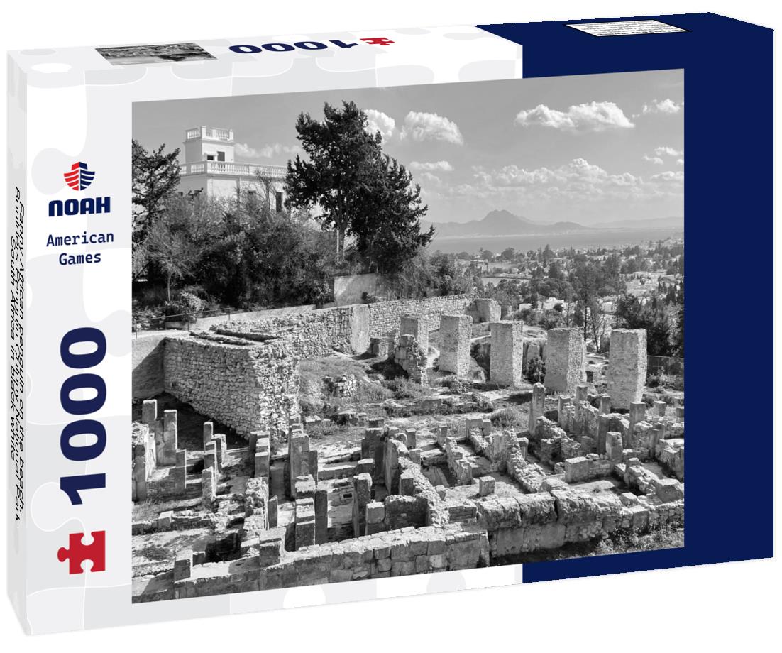 Noah Jigsaw Puzzle Fanny African penguin on the beach. Boulders Penguin Colony National Park, South Africa in black white 1000 pieces