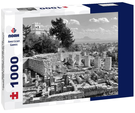 Noah Jigsaw Puzzle Fanny African penguin on the beach. Boulders Penguin Colony National Park, South Africa in black white 1000 pieces