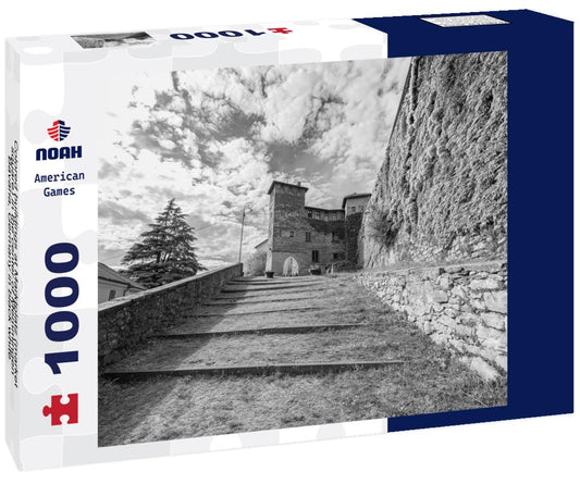 Noah Jigsaw Puzzle Colored buildings at Marktplatz (market square) in the center of Memmingen, Bavaria, Germany in black white 1000 pieces