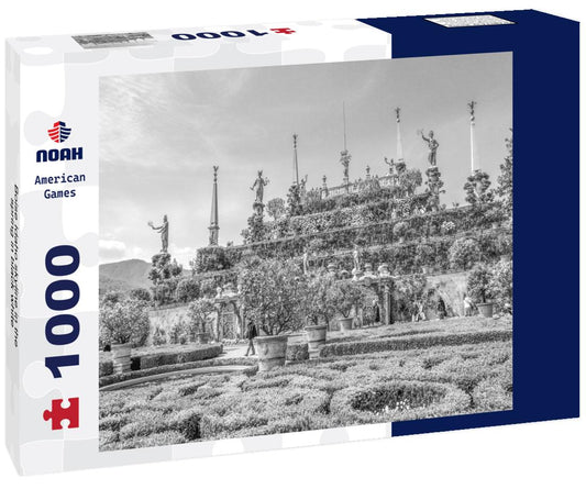 Noah Jigsaw Puzzle Boise Idaho skyline in the spring in black white 1000 pieces