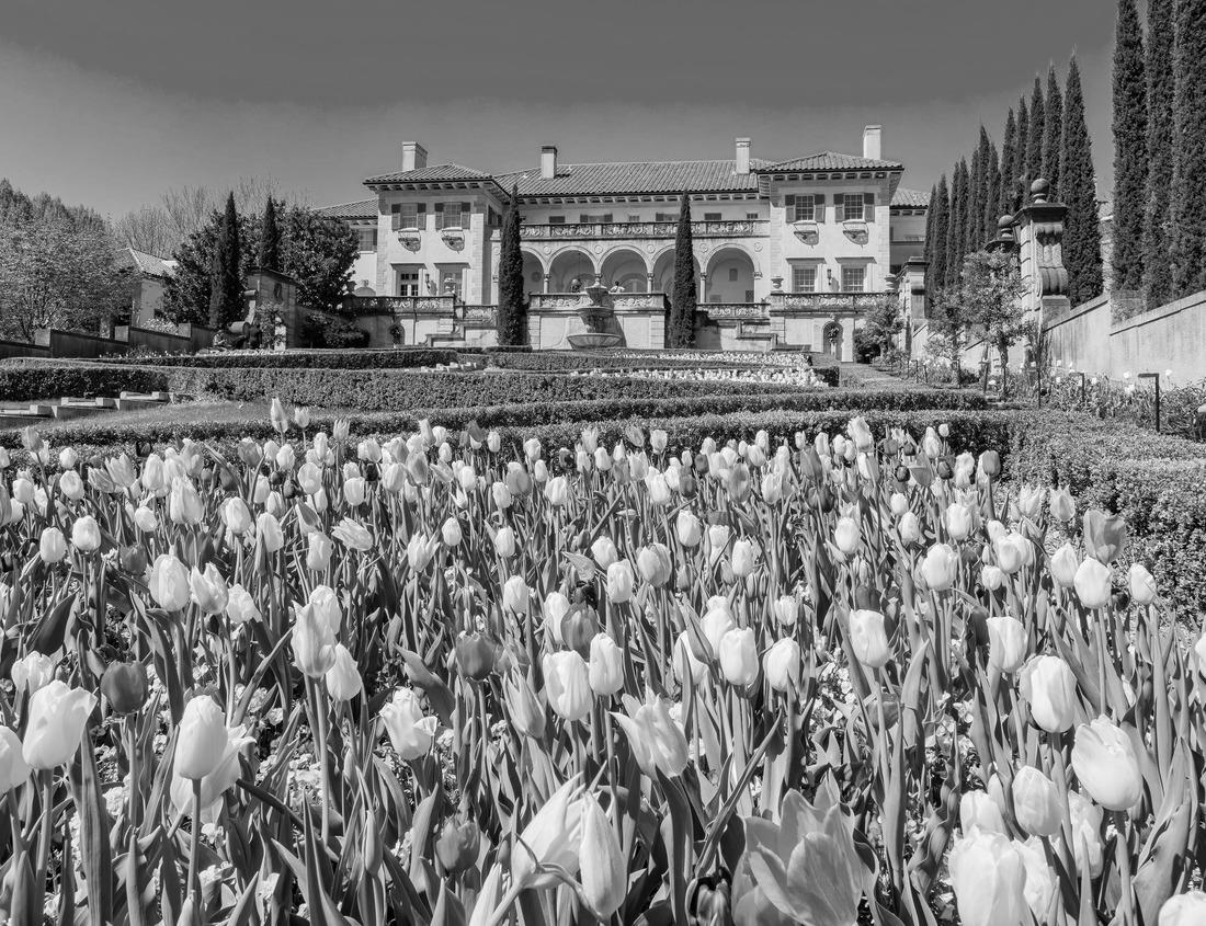 Noah Jigsaw Puzzle New Orleans, Louisiana, USA at Crescent City Connection Bridge over the Mississippi River in black white 1000 pieces