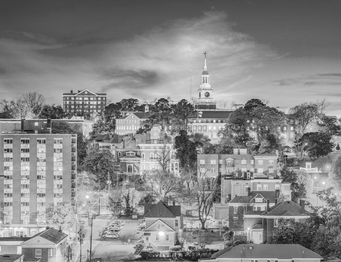 Noah Jigsaw Puzzle Miami, Florida, USA tropical downtown skyline in black white 1000 pieces